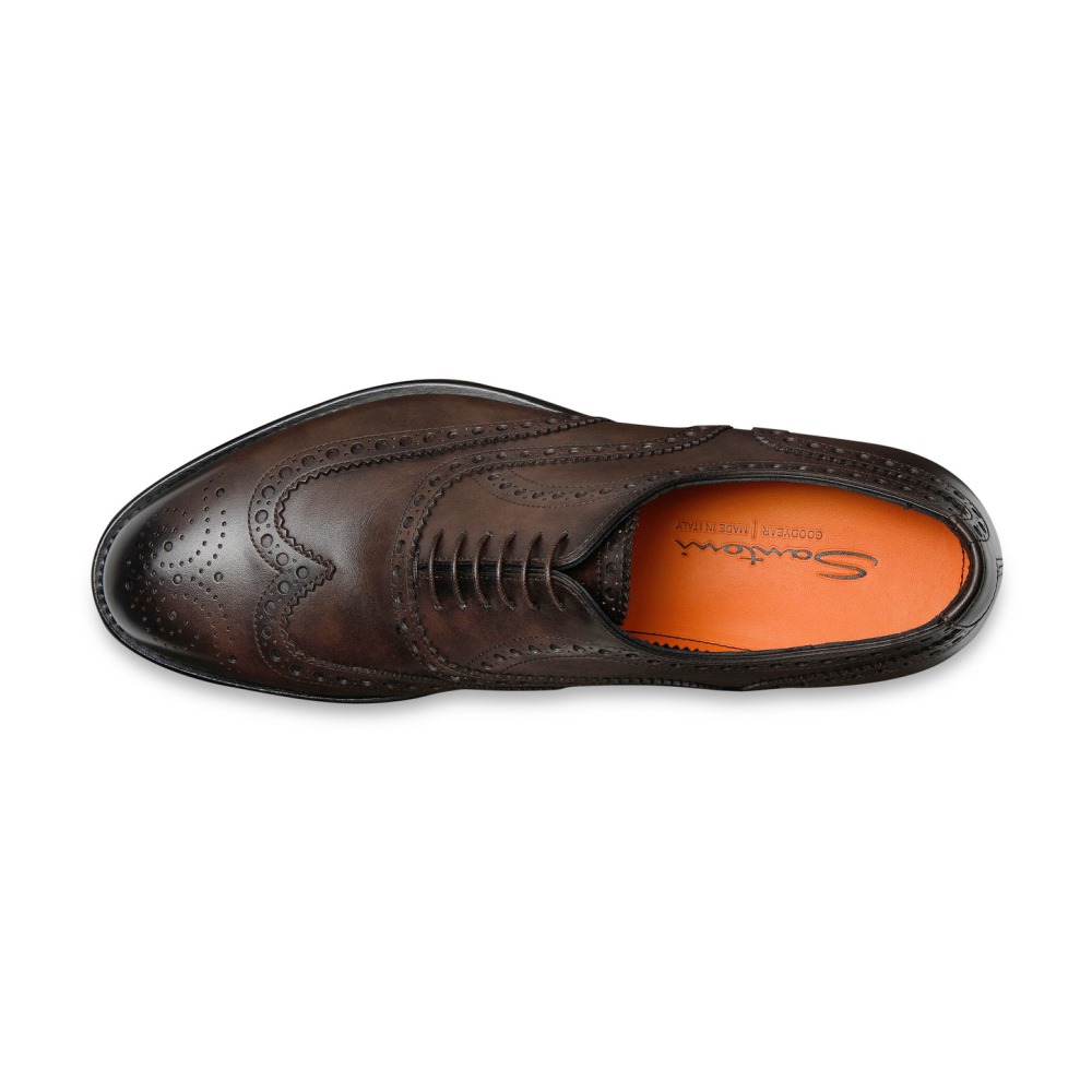 Stringata oxford brogue da uomo in pelle anticata marrone - Testa di moro